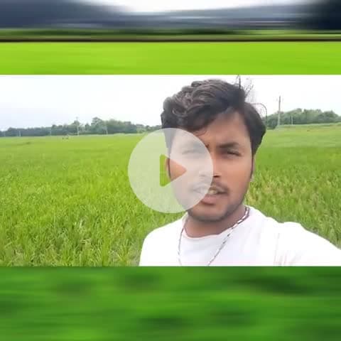 किसान है परेशान सरकार नहीं दे रहा है ध्यान पानी के बिना धान का फसल हो रहा है बर्बाद
#bihar #dhanfasal #sonuyadav #news
