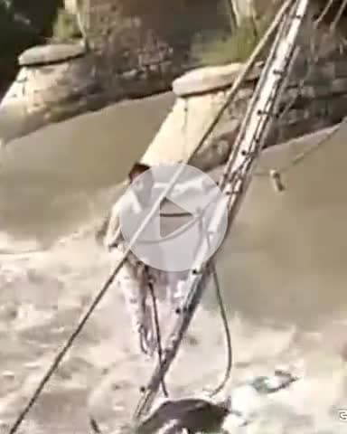 जगाधरी: खिलावाला गांव के पास नहर में बहे 30 गोवंश, छह की मौत, बाकी को बचाया गया