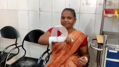 बरेली: भमोरा थाना क्षेत्र के गांव सिरसा बीचरुइया में आवारा कुत्तों ने महिला को काटकर किया घायल, जिला अस्पताल में हुआ उपचार