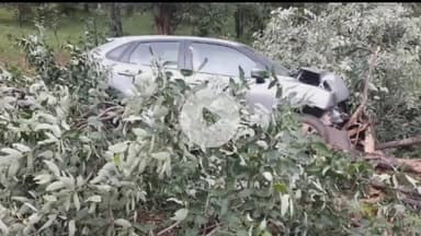 माडा: बंधौरा क्षेत्र में ब्रेक फेल होने के कारण पेड़ से जा टकराई कार, दो लोग गंभीर रूप से हुए घायल