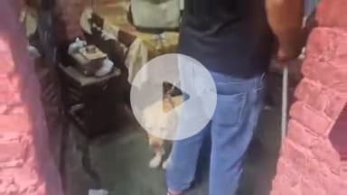 देहरादून: ड्रग्स फ्री देवभूमि की परिकल्पना को साकार करने की दिशा में कदम बढ़ाती दून पुलिस