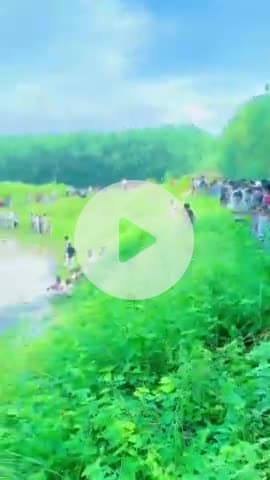 जगाधरी: प्रतापनगर के खिलावाला गांव में जोहड़ में डूबने से 14 वर्षीय लड़के की हुई मौत