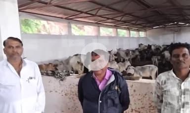 टीकमगढ़: टीकमगढ़ जिले की ग्राम पंचायतों का अधिकारियों ने किया निरीक्षण, पोर्टल पर गलत जानकारी मिलने पर होगी कार्रवाई