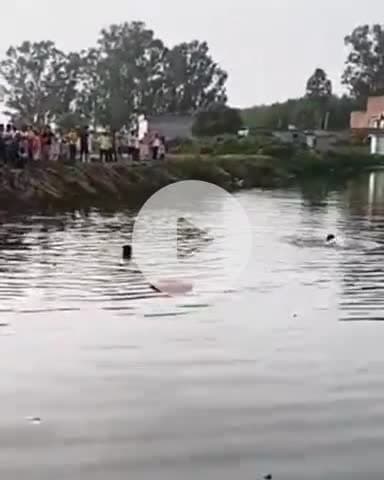 जगाधरी: ससौली: खेलते समय तालाब में गिरा 6 वर्षीय बच्चा, प्रशासन ने चलाया रेस्क्यू ऑपरेशन
