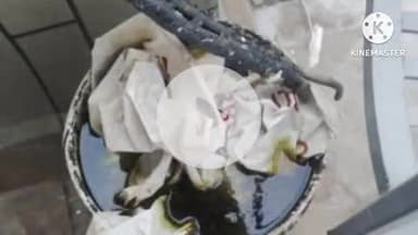 हुज़ूर: भोपाल नगर निगम ने लापरवाही के चलते दो अस्पतालों पर लगाया जुर्माना