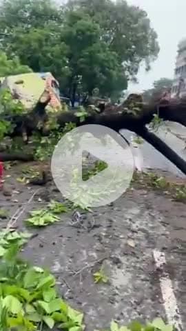 ताजपुर: ताजपुर रेफरल अस्पताल के पास आंधी और बारिश से पैड व ट्रांसफार्मर सहित बिजली का पोल गिरा