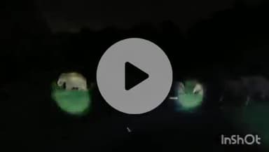 इचाक: हाथियों के आतंक को देखते हुए वन विभाग ने बगल के प्रखंड के लोगों को अलर्ट रहने का दिया निर्देश