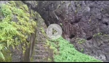 सुधागड: सरसगड किल्ल्यावरून पडून तरुण गंभीर जखमी 
डोक्याला इजा खांदा फॅक्चर