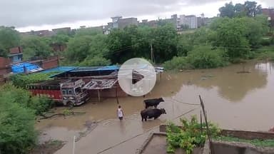 #गंगा दीप कॉलोनी संगम नगरी प्रयागराज 8.9. लोगों का घर तक पानी घुस गया है लोगों को अब घर में रहने के लिए अपना तफरी मची है