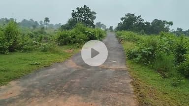 sarbindha to Poreyahat road real vedio