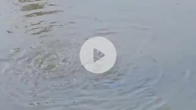 हनुमानगढ़: जिला मुख्यालय पर सीवरेज लीकेज बना जी का जंजाल, सीवरेज की बदबू से परेशान हुए सेक्टर 6 के नागरिक