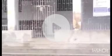 फतुहा: फतुहा सामुदायिक स्वास्थ्य केंद्र में बारिश से जलभराव, मुश्किल हुआ आना-जाना