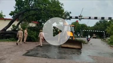 बलरामपुर: बहादुरपुर रेलवे क्रॉसिंग पर पेड़ गिरने से घंटों यातायात बाधित, जेसीबी से पेड़ हटवाकर यातायात बहाल किया गया