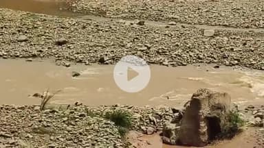 बद्दी: हिमाचल में बारिश का कहर, BBN क्षेत्र में छोटे बच्चे अपनी जान को जोखिम में रखकर बाल्द नदी में तैरते हुए आ रहे हैं नजर