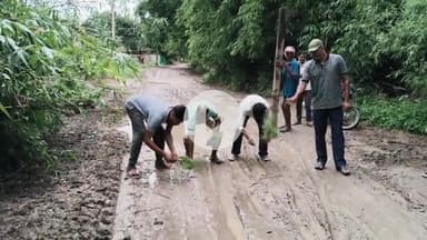 लोहरदगा: जूरिया से तिगरा जाने वाला रास्ता बेहद ख़राब, विरोध जताने के लिए ग्रामीणों ने सड़क पर धान रोपनी की #jansamasya