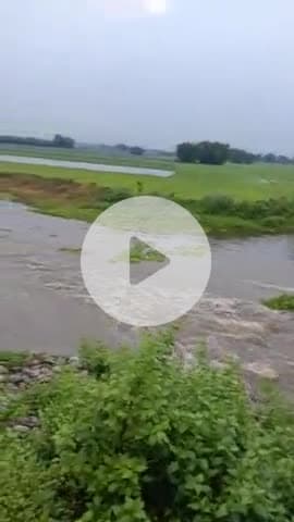 Brij number ABP News#abpmjay