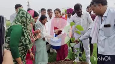 दौसा: मुख्यमंत्री द्वारा चलाए जा रहे हरियालो राजस्थान अभियान के तहत बापी प्राथमिक स्वास्थ्य केंद्र में पौधारोपण किया गया