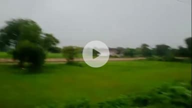 रफीगंज: कजपा में जंगली सूअरों के आतंक से तीन किसान घायल, क्षेत्र में मची हड़कंप