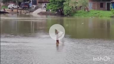 आरा: भोजपुर जिले में गंगा नदी का जलस्तर लगातार खतरे के निशान से ऊपर, आरा शहर में बढ़ा पानी, लोग परेशान
