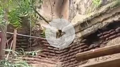 फतेहाबाद: फतेहाबाद के बादशाही बाग के गेट की मरम्मत के दौरान निकला सर्प, ग्रामीणों ने पकड़कर जंगल में छोड़ा