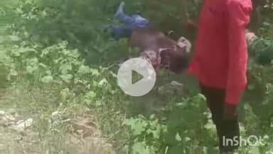 रोहट: रोहट के खारड़ा के निकट एक कार ने बाइक सवार दो लोगों को मारी टक्कर, एक की हुई मौत और दूसरा घायल