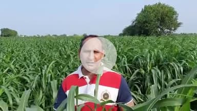 केंद्र सरकार पूंजिपतियों की तरह किसानों का भी कर्जा माफ करें ।  मीडिया खबरों के अनुसार राजस्थान के 1.06 करोड़ किसानों पर 1.87 लाख करोड़ रुपए कर्ज है।
मोदी सरकार ने पिछले 10 वर्षों में पूंजीपतियों का 16 लाख करोड़ रुपए का कर्जा माफ किया है।