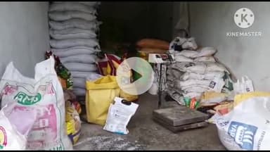 बगहा: बगहा में यूरिया खाद नहीं मिलने से किसान परेशान 

#Jansamsya