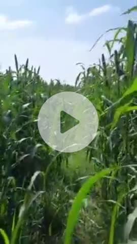 जय श्रीराम।।🙏
परिवर्तन प्रकृति का नियम है,परिवर्तन में आपके साथ कौन खड़ा है यह महत्वपूर्ण है।