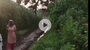 अमरोहा: अमरोहा में विकास को तरस रहा गांव, नसीरपुर में सड़क न बनने से ग्रामीण परेशान, मुख्यमंत्री से लगाई गुहार