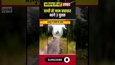 हाथी ने 3 युवकों को दौड़ाया। #surajpurnews #elephantattack #cgviralvideo #shorts