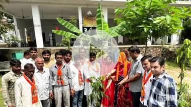 दौसा: प्रधानमंत्री की आवान पर 'एक पेड़ मां के नाम' अभियान के तहत दौसा के हनुमान मंदिर में भाजपा ने किया पौधारोपण