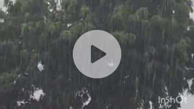 बलरामपुर: जिले में सुबह से रुक-रुक कर हो रही तेज बरसात, जल भराव से लोग परेशान, किसानों के चेहरे खिले