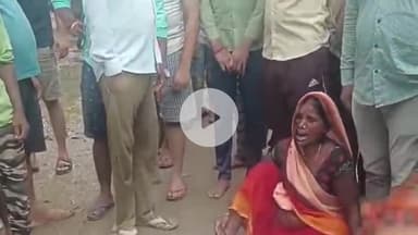 कादीपुर: पांडे बाबा के पास लखनऊ बलिया हाइवे मार्ग पर हरा महुआ का पेड़ बिजली के खंभे पर गिरने से मोची की हुई दर्दनाक मौत