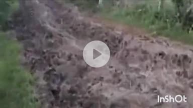 त्योंथर: त्यौंथर में पहुंच मार्ग पर कीचड़ होने के कारण लोगों को आने-जाने में हो रही परेशानी, वीडियो आया सामने #jansamasya