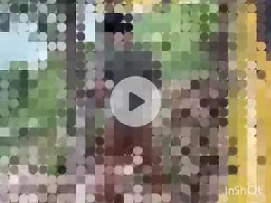 गोरखपुर: रामगढ़ ताल थाना क्षेत्र के नौका विहार पर गलत काम कर रहे युवक का वीडियो वायरल होने के बाद पुलिस ने लिया संज्ञान