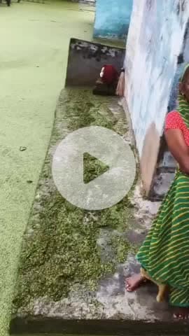 वैर: कस्बा वैर के बयाना गेट पर तालाब का पानी भरा, ओवरफ्लो होकर निचले इलाके में घुसा पानी