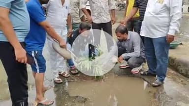 झालरापाटन: फल मंडी के सामने कांग्रेस कार्यकर्ताओं ने सड़क के गड्ढों में पौधारोपण कर जताया दुर्घटनाओं को लेकर आक्रोश