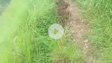 कंडाघाट: पर्यटन नगरी चायल के साथ दुनू गांव में जमीन में पड़ रही बड़ी-बड़ी दरारें