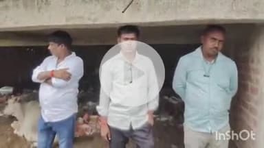 बहराइच: नानपारा के बनकटवा महोली में युवक की साप के काटने से हुई मौत