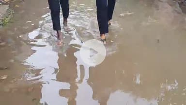 रामपुर: जलभराव से वकीलों का हाल बेहाल, बारिश से कलेक्ट्रेट परिसर स्थित वकीलों के चैंबर हुए जलमग्न #jansamasya