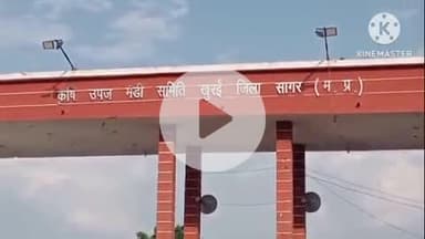 खुरई: अनाज की डाक बंद होने से कृषि मंडी में किसानों का हंगामा, व्यापारी व हम्मालों में मजदूरी को लेकर हुई थी बंदी