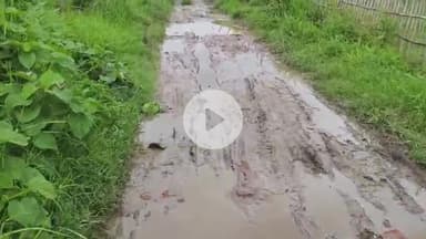 पूर्णिया पूर्व: वार्ड-46 निलगंज कोठी की 500 मीटर जर्जर सड़क बनी ग्रामीणों की परेशानी, बोले- सड़क नहीं तो वोट नहीं #jansamasya