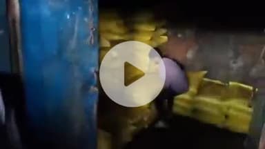 पडरौना: कुशीनगर में खाद की भारी किल्लत, बारिश में भी लाइन में लगे रहे किसान, सरकार पर फूटा आक्रोश, वीडियो हुआ वायरल