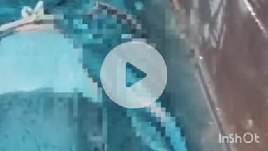 बहराइच: रमपुरवा इलाके में नाले में गिरने से बुजुर्ग की मौत, पुलिस जांच में जुटी