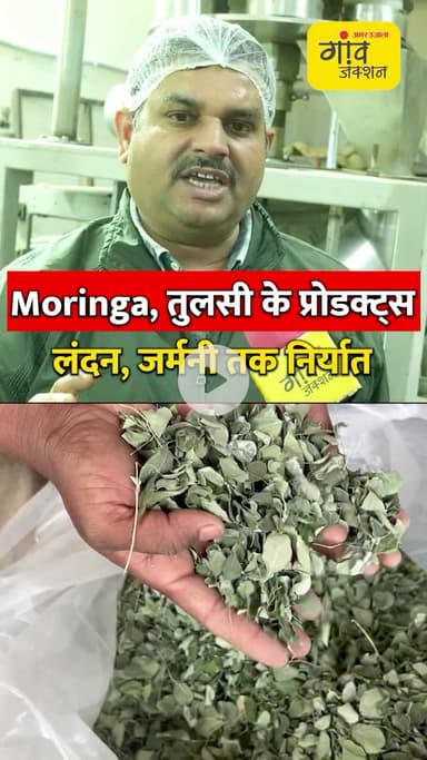 Moringa,Sehjan