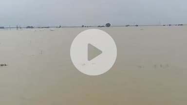 असरगंज: चौरगांव और अमैया गांव के बाहर फैला बाढ़ का पानी