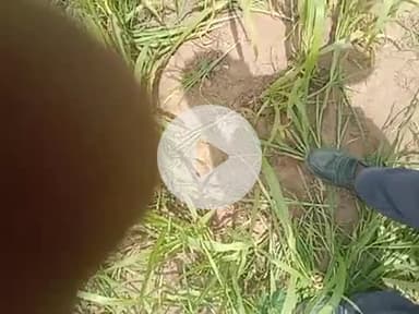 गोपा सरिया तिंवरी मेरी जमीन जबरदस्ती कब्जा कर लिया है सरकार से अपील करता हूं मेरे परिवार को न्याय दिलाने कृपा करै धमकियो