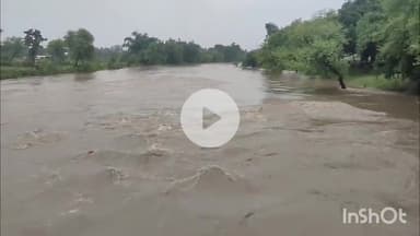 त्योंथर: त्यौंथर में बाढ़ जैसे हालात, नदी के बीच टीले में फंसे करीब 40 बेजुबान जानवर