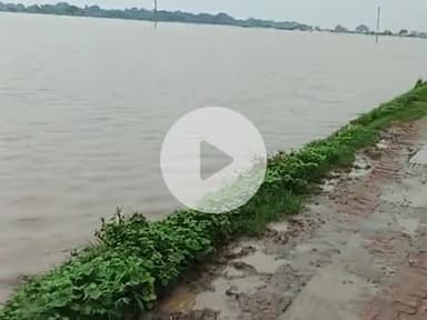 Sherpur Kalan Ke tal me pani aagaya hai #sherpur