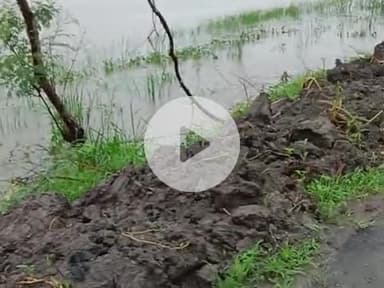 यमुना पार (बारा) पिपराव, ##मुजरा में बाढ़ के कारण, मकान में घुसा पानी ##🙏, जो इसमें नुकसान भी हुआ है####